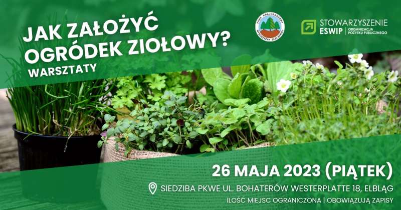 Czas na wiosenne przebudzenie!
