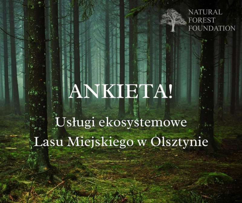 Weź udział w leśnej ankiecie