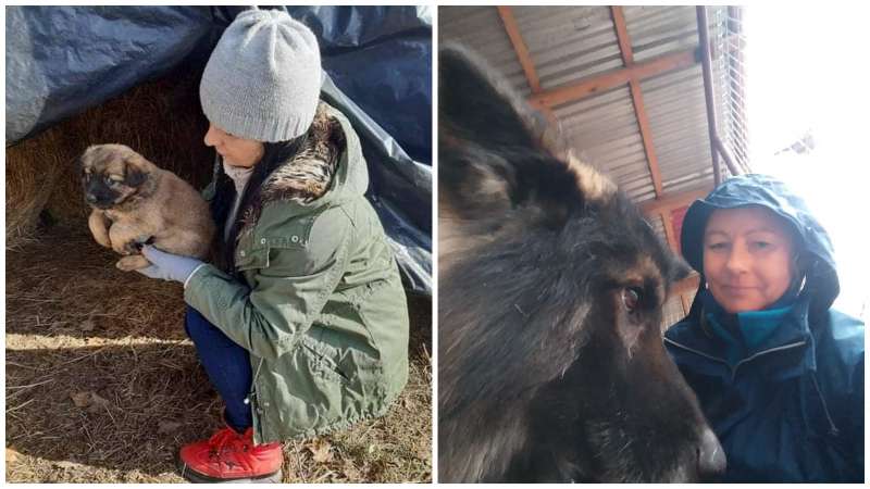 Na pomoc czworonogom