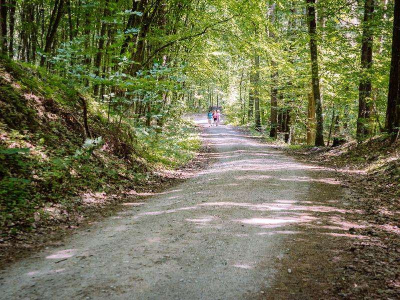 Czynna troska o środowisko naturalne w regionie
